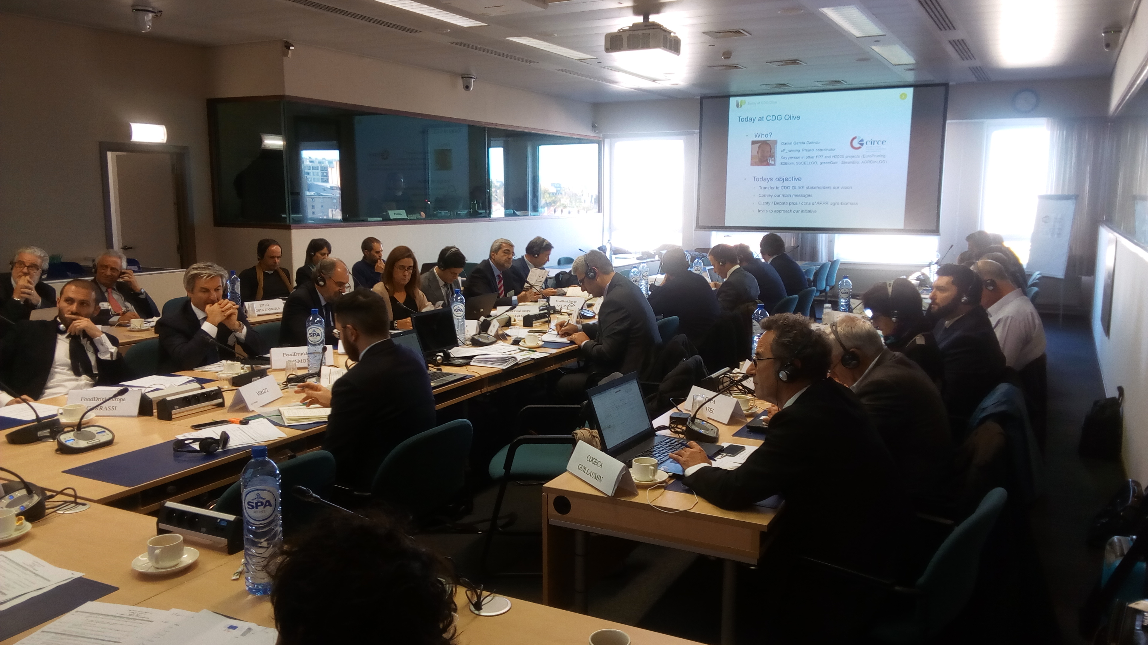 CDG_Olives_6Nov2017_fotos_DG_-4